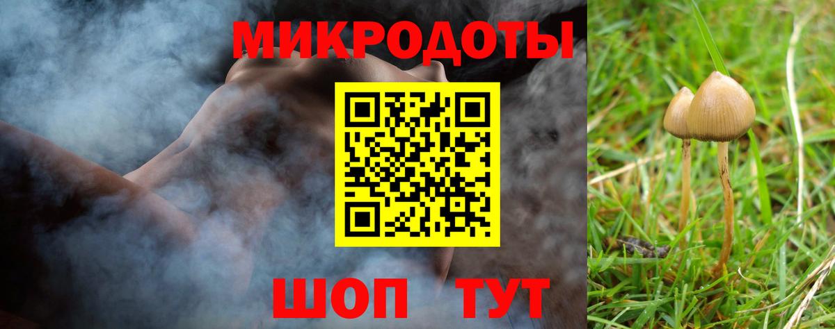 Псилоцибиновые грибы мухоморы  Вход с VPN  Псилоцибиновые грибы прущие грибы  даркнет сайт  Гай 